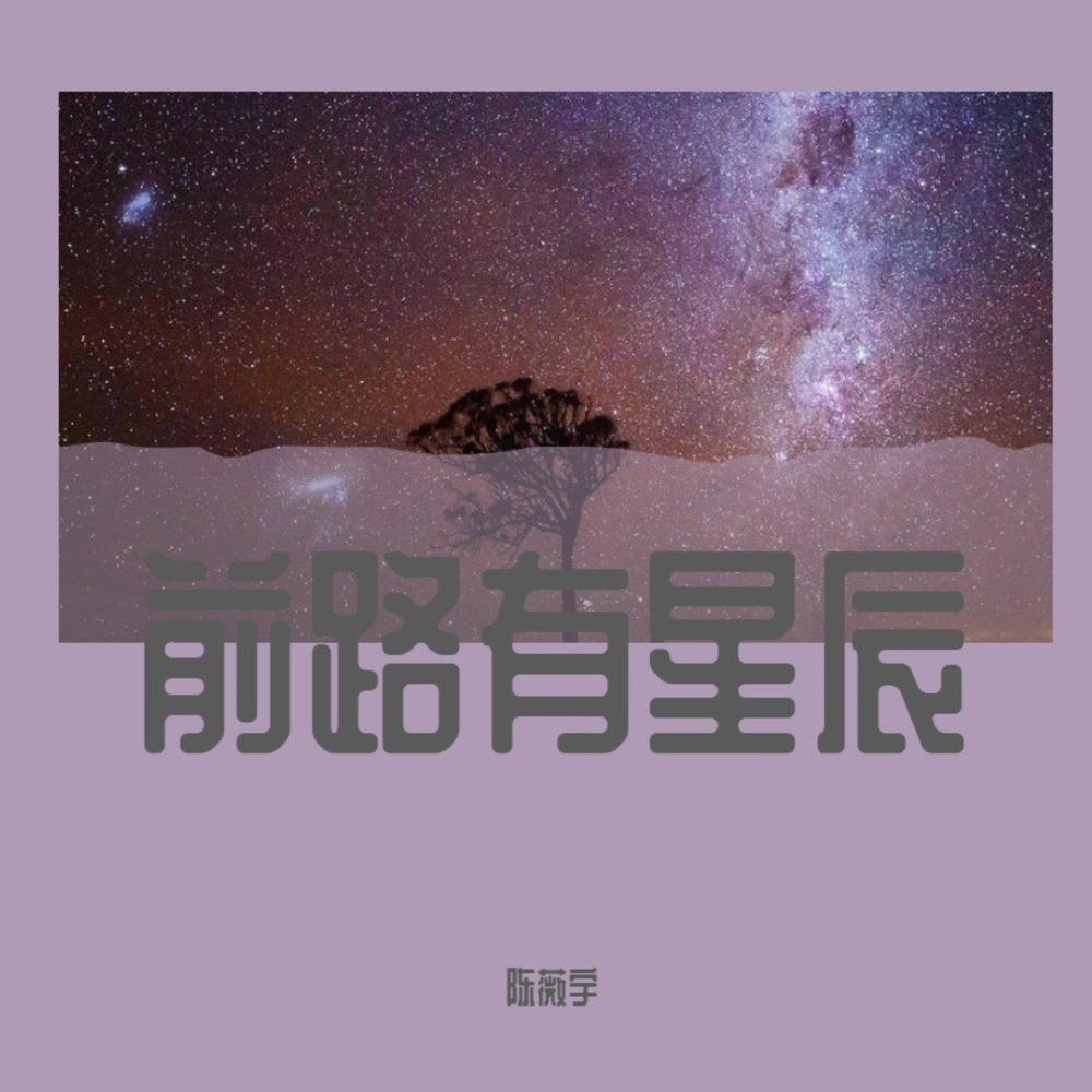 前路有星辰(DJ安筱冷版） (伴奏)