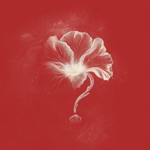 Album you left something from Aswekeepsearching