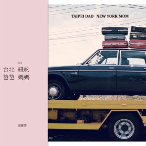 ดาวน์โหลดและฟังเพลง 起初我感到困惑（姊姊） พร้อมเนื้อเพลงจาก 人力飞行剧团