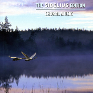 收聽Orphei Drangar的2 Schybergson Songs, JS 224: No. 1, Ute hörs stormen歌詞歌曲