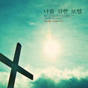 Album Blood for me from 
