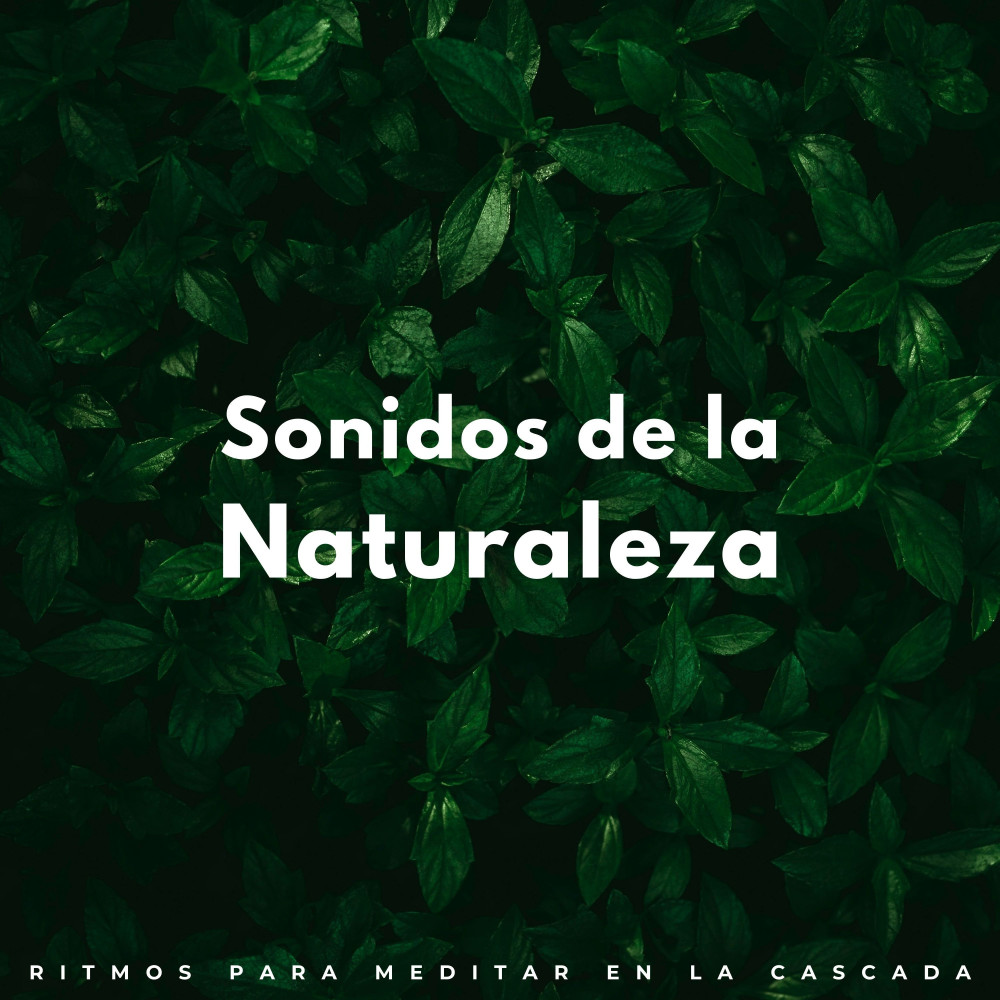 Flujo Meditativo De La Energía De La Cascada