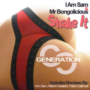 收聽African Dreams的Shake It (Original Mix)歌詞歌曲