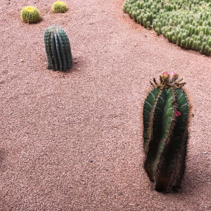 Nayla的专辑Cocoa Butter