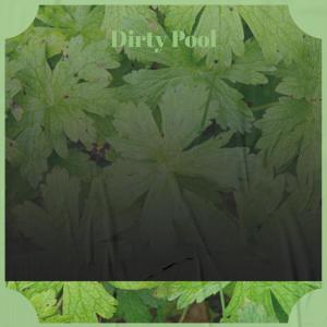 Album Dirty Pool from Various