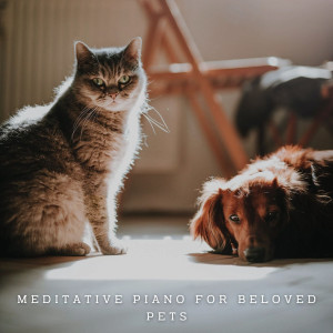 Classical New Age Piano Music的專輯Harmony Tails: Meditative Piano for Beloved Pets