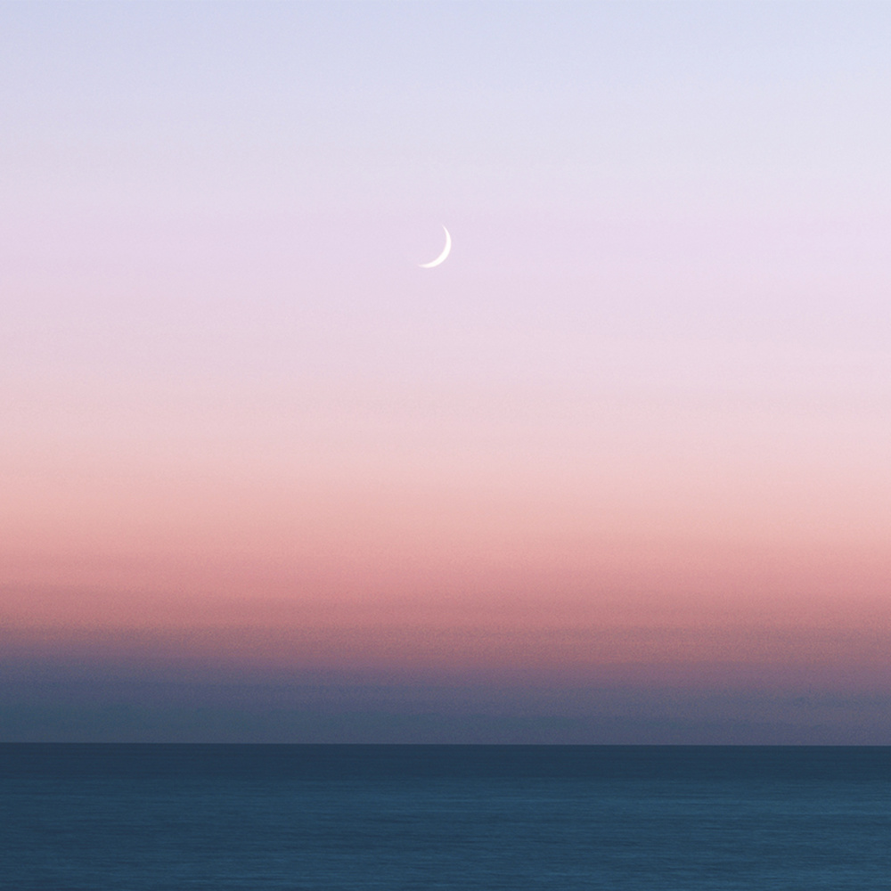 Sudden Feelings