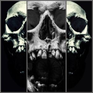 收聽Carvings的Split歌詞歌曲