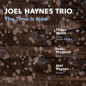 ดาวน์โหลดและฟังเพลง The Time Is Now พร้อมเนื้อเพลงจาก Joel Haynes Trio