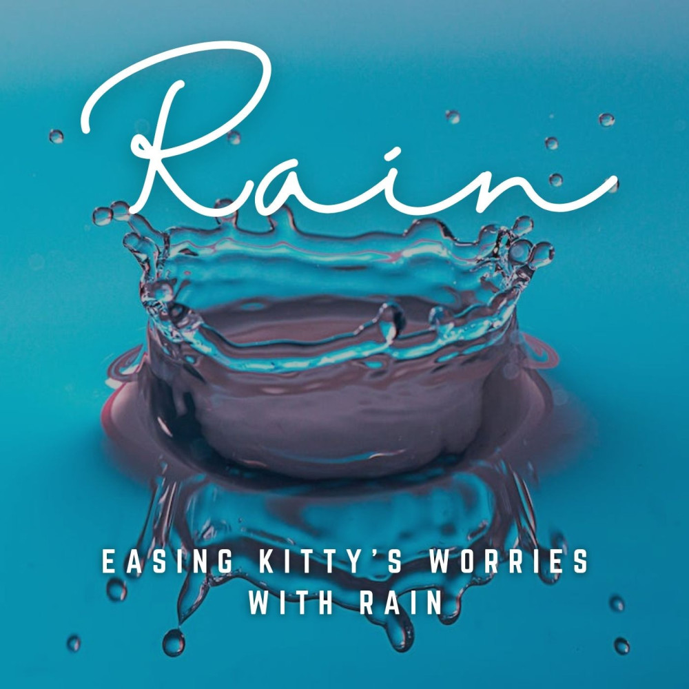 Stress-Free Feline Rain