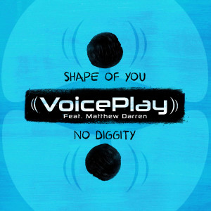 ดาวน์โหลดและฟังเพลง Shape of You No Diggity (feat. Matthew Darren) พร้อมเนื้อเพลงจาก VoicePlay