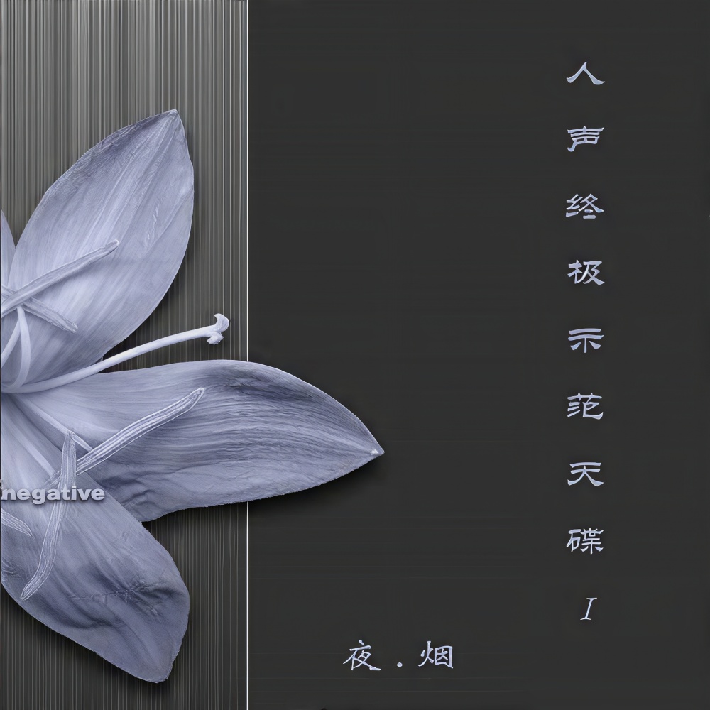 在银色的月光下