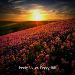 Album From Up on Poppy Hill (Piano Themes Collection) oleh the old boy