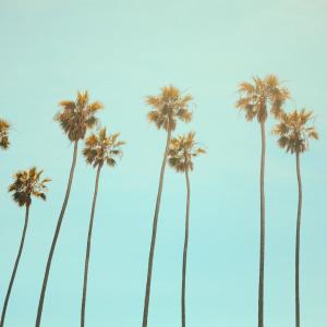 Listen to California Dreaming song with lyrics from Besomage