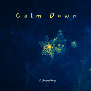 Dengarkan Calm Down lagu dari DjSunnyMega dengan lirik