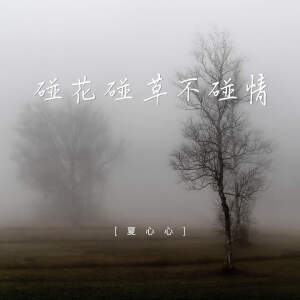 Listen to 碰花碰草不碰情 song with lyrics from 夏心心