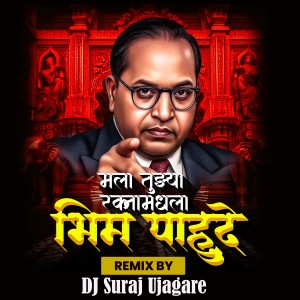 Album Mala Tuzya Raktamadhla Bhim Pahude from Dhamma Dhanve