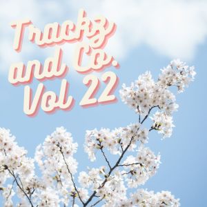 Highland Hitz的专辑Trackz and Co. Vol 22