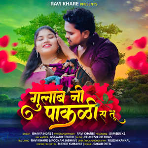 Bhaiya More的專輯Gulab Ni Pakali S Tu