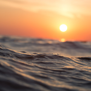 ดาวน์โหลดและฟังเพลง Roche พร้อมเนื้อเพลงจาก Ocean Sounds Collection