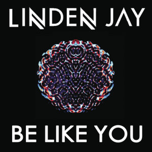 ดาวน์โหลดและฟังเพลง Be Like You พร้อมเนื้อเพลงจาก Linden Jay