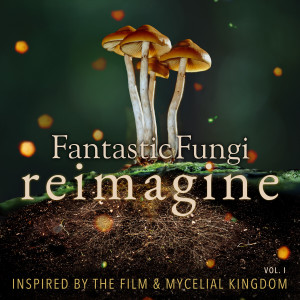 Various Artists的專輯Fantastic Fungi: Reimagine, Vol. I