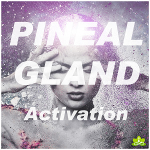 收聽Spiritual Moment的Pineal Gland Activation歌詞歌曲