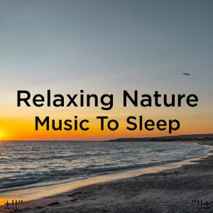 Dengarkan Piano Nature Sounds lagu dari Deep Sleep dengan lirik