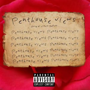 收聽D3szn的Penthouse views (Explicit)歌詞歌曲
