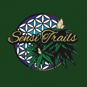 收聽Sensi Trails的New Romance歌詞歌曲