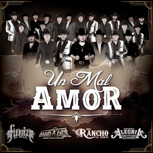 收聽La Furia del Bravo的Un Mal Amor歌詞歌曲