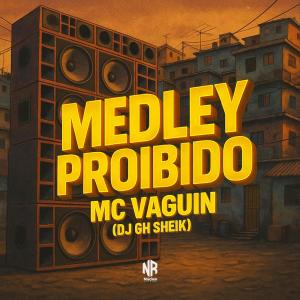 Listen to MEDLEY PROIBIDO (Explicit) song with lyrics from MC Vaguin
