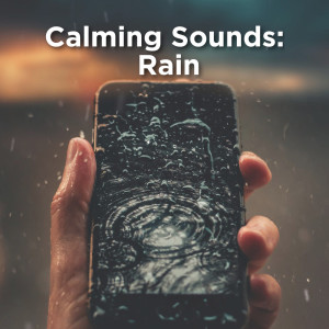 Listen to Study Background song with lyrics from Rain Sounds