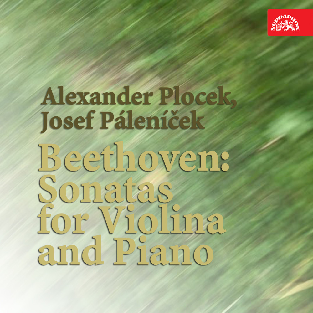 Violin Sonata No. 1 in D Major, Op. 12 No. 1: III. Rondo. Allegro