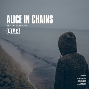 Dengarkan Man in the Box (Live) lagu dari Alice In Chains dengan lirik