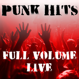 Dengarkan lagu I Wanna Be Your Dog (Live) nyanyian Sid Vicious dengan lirik
