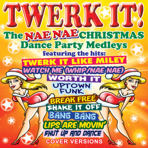 Listen to Medley, Pt. 2: Twerk It Like Miley / DeckTheHalls / Worth It / Jingle Bells song with lyrics from Marie Dolom