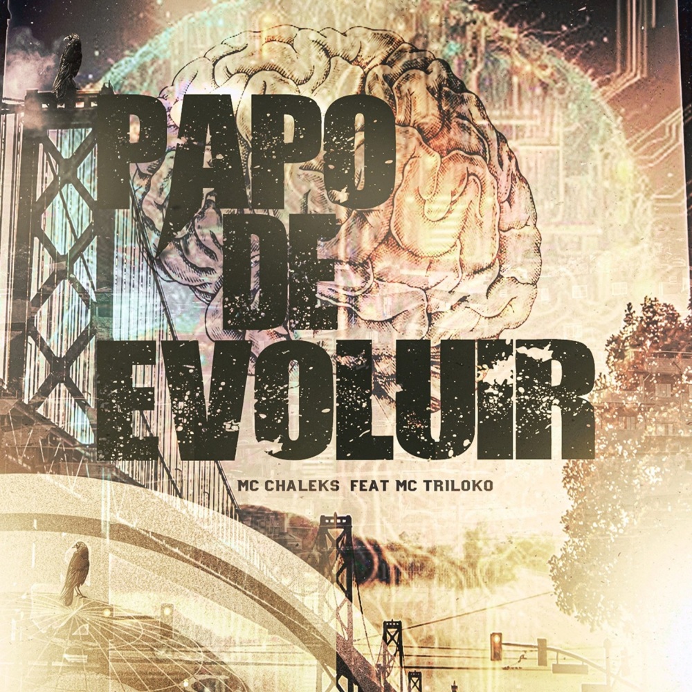 Papo de Evoluir