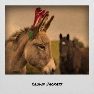 Listen to Crown Jackass song with lyrics from Rhia Cono