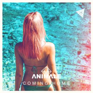 อัลบัม Coming Home (Radio Edit) ศิลปิน Animale