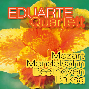 收聽Eduarte Quartett的W.A. Mozart, Divertimento F Major, KV 138: 1. Movement – Allegro歌詞歌曲