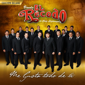 Banda el Recodo de Cruz Lizarraga ดาวน์โหลดและฟังเพลงฮิตจาก Banda el Recodo de Cruz Lizarraga