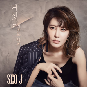 Listen to 就算是谎话也说吧 song with lyrics from 서제이