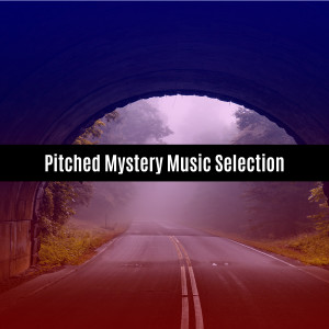 V A的專輯Pitched Mystery Music Selection