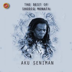 Dengarkan lagu Aku Seniman nyanyian Shodiq Monata dengan lirik