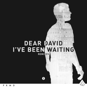 อัลบัม I've Been Waiting (Remixes) ศิลปิน Dear David