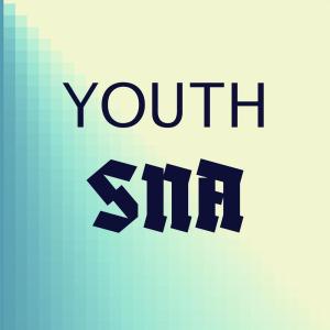 Various的专辑Youth Sna