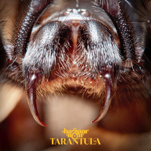Tarantula dari Bazaar Noir
