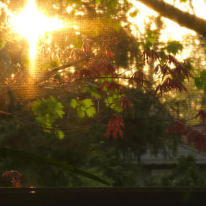 ดาวน์โหลดและฟังเพลง Ego พร้อมเนื้อเพลงจาก Soft Static