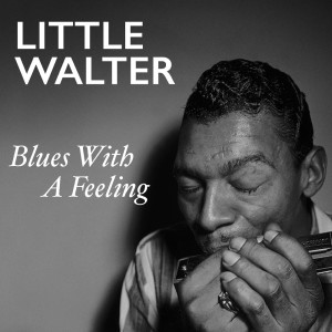 ดาวน์โหลดและฟังเพลง Break It Up พร้อมเนื้อเพลงจาก Little Walter